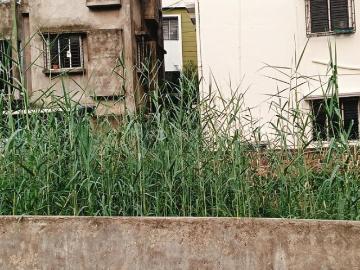 Residential Plot in Nayabad for resale Kolkata. The reference number is 20401255