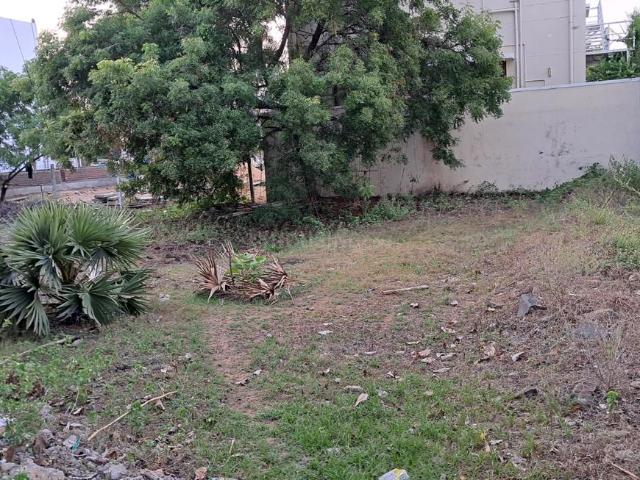Residential Plot in Neelankarai for resale Chennai. The reference number is 20498552