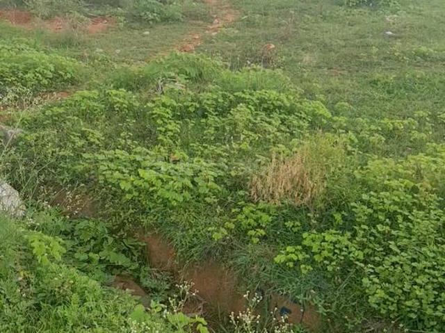Residential Plot in Nelamangala for resale Bengaluru. The reference number is 18365450
