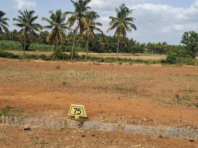 Residential Plot in Nelamangala for resale Bengaluru. The reference number is 20863409