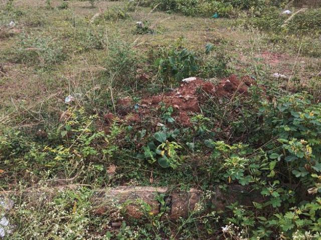 Residential Plot in Nelamangala for resale Bengaluru. The reference number is 21175441