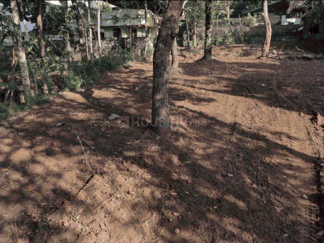 Residential Plot in Nellanad for resale Thiruvananthapuram. The reference number is 20801525