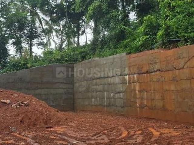 Residential Plot in Nellikkode for resale Kozhikode. The reference number is 20859133