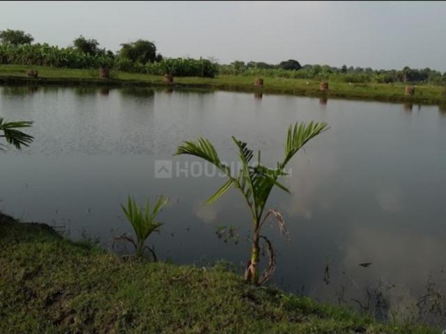 Residential Plot in Nepalgange for resale Kolkata. The reference number is 15789651