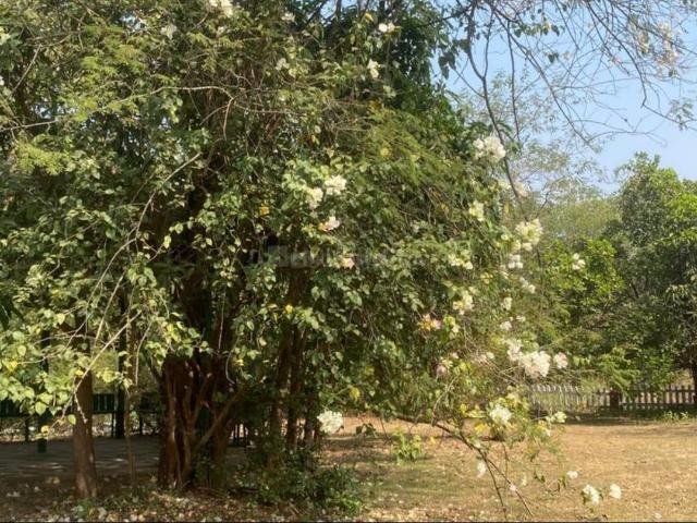 Residential Plot in Neral for resale Thane. The reference number is 19735268