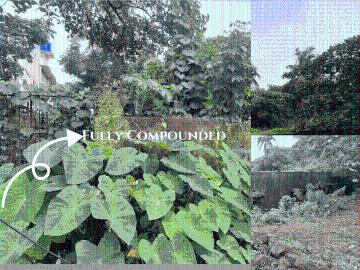Nerul North Goa, North Goa District, Goa State