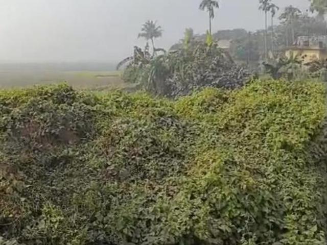 Residential Plot in New Town for resale Kolkata. The reference number is 16572875