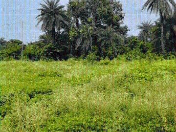 Residential Plot in New Town for resale Kolkata. The reference number is 18030007