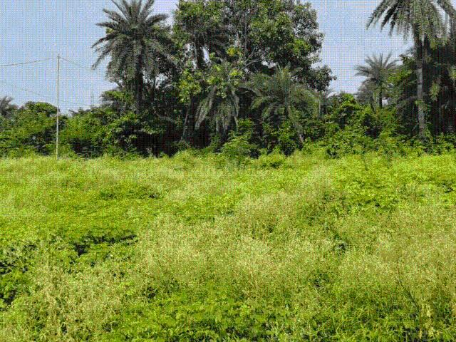 Residential Plot in New Town for resale Kolkata. The reference number is 18030007