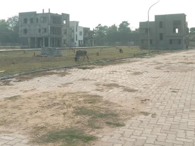Residential Plot in New Town for resale Kolkata. The reference number is 19635315