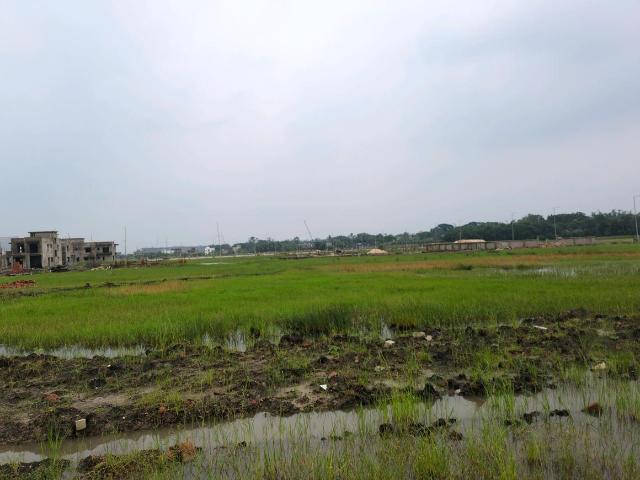 Residential Plot in New Town for resale Kolkata. The reference number is 20802819