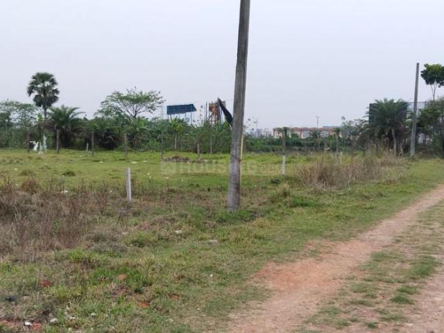 Residential Plot in New Town for resale Kolkata. The reference number is 20997098