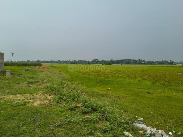 Residential Plot in New Town for resale Kolkata. The reference number is 21057123