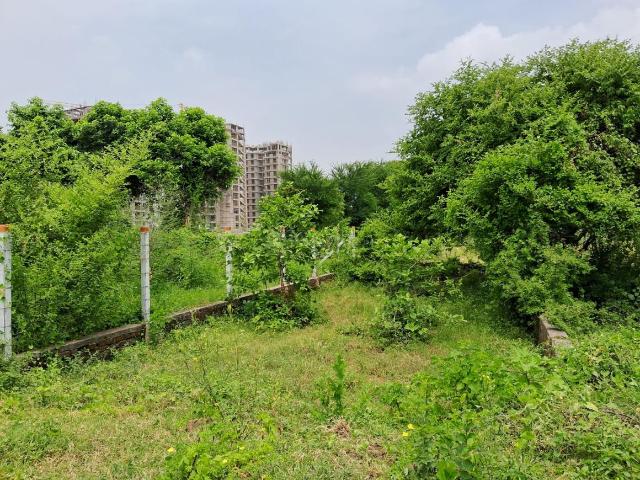Residential Plot in New Alkapuri for resale Vadodara. The reference number is 19305123