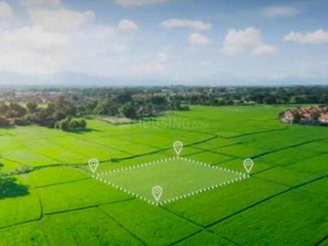 Residential Plot in New Alkapuri for resale Vadodara. The reference number is 21206452