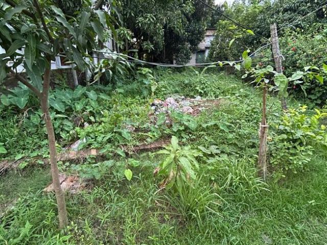 Residential Plot in New Barrakpur for resale Kolkata. The reference number is 19948086