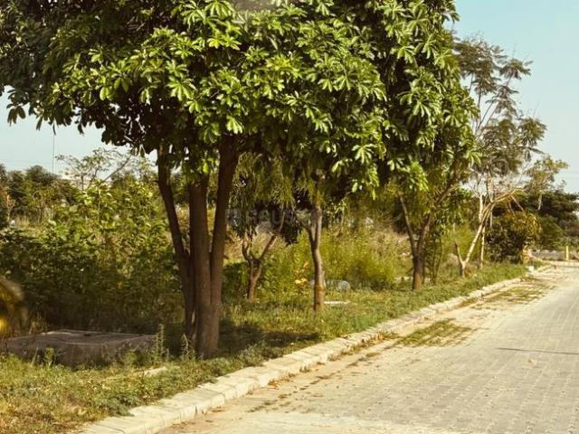 Residential Plot in New Chandigarh for resale Chandigarh. The reference number is 20264346