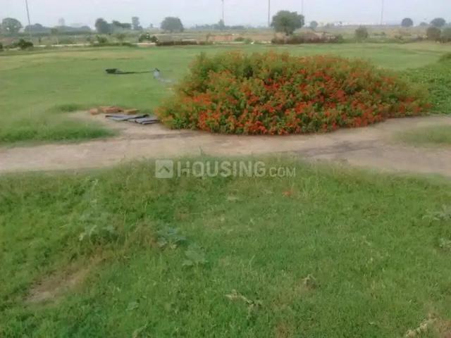 Residential Plot in New Chandigarh for resale Chandigarh. The reference number is 20517272