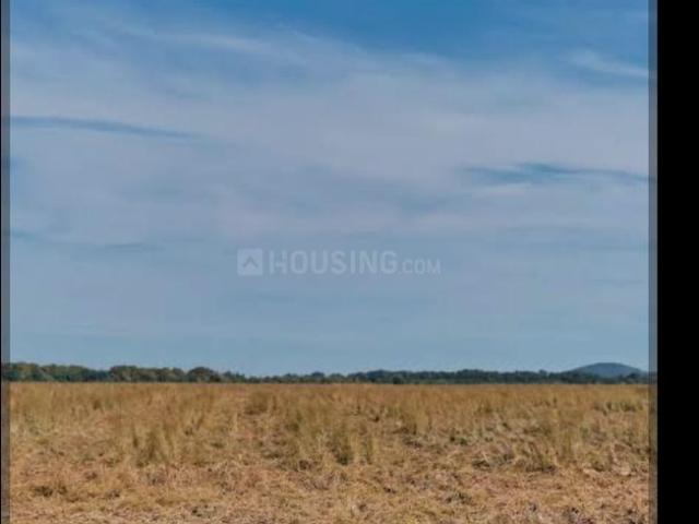 Residential Plot in New Chandigarh for resale Chandigarh. The reference number is 20652382