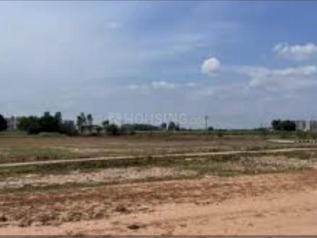 Residential Plot in New Chandigarh for resale Chandigarh. The reference number is 20688703