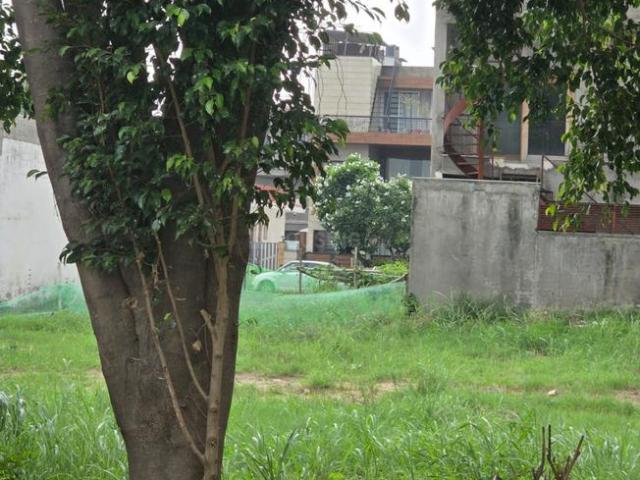 Residential Plot in New Chandigarh for resale Chandigarh. The reference number is 20719663