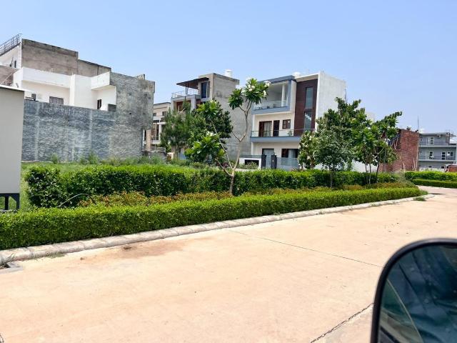 Residential Plot in New Chandigarh for resale Chandigarh. The reference number is 21296969