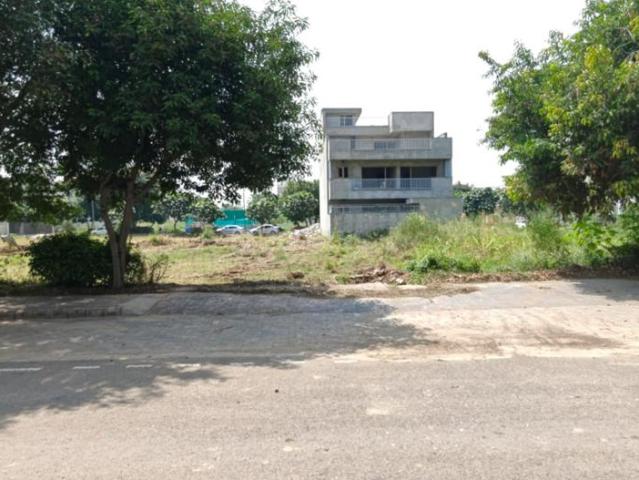 Residential Plot in New Chandigarh for resale Chandigarh. The reference number is 21361957