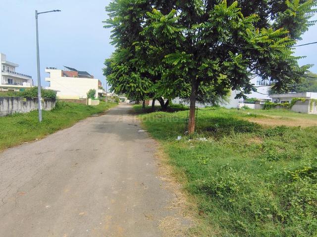 Residential Plot in New Chandigarh for resale Chandigarh. The reference number is 21321741