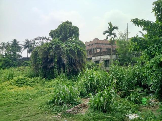 Residential Plot in Nimta for resale Kolkata. The reference number is 17090845