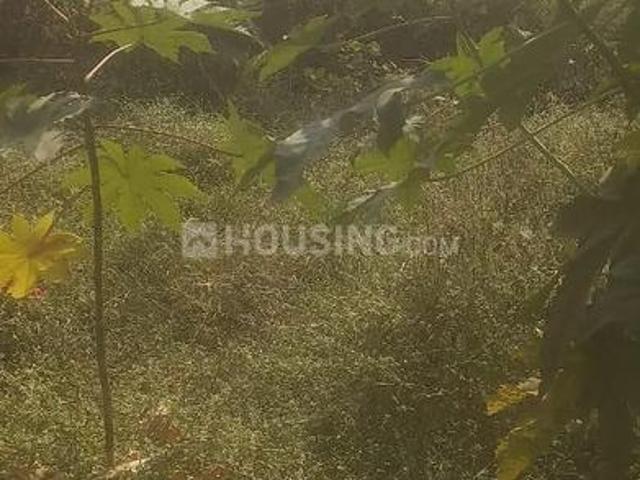 Residential Plot in Nipania for resale Indore. The reference number is 20379005