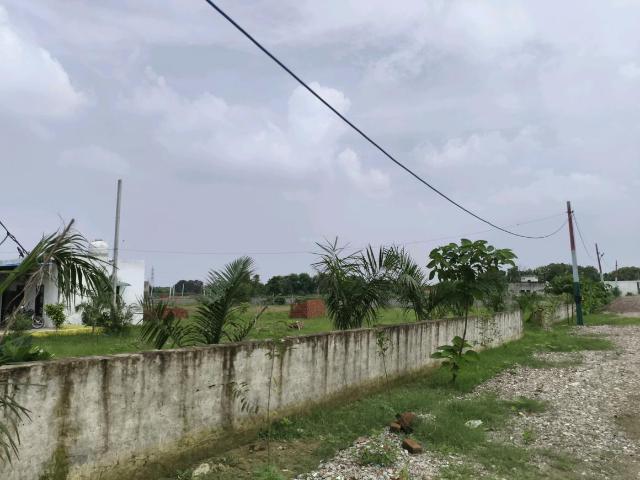 Residential Plot in Najafgarh for resale New Delhi. The reference number is 18017884