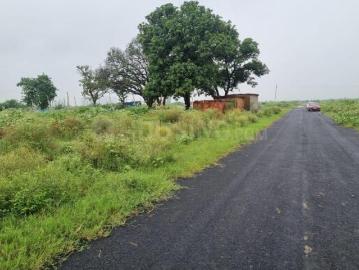 Residential Plot in Noida Extension for resale Greater Noida. The reference number is 20490496