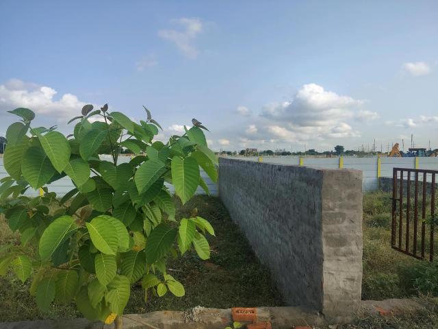 Residential Plot in Bhanauta for resale Greater Noida. The reference number is 21191992