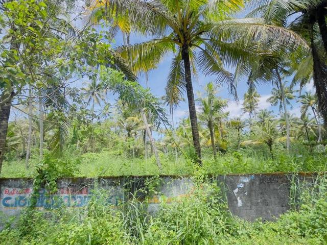 Residential Plot in North Paravoor for resale Kochi. The reference number is 15945513