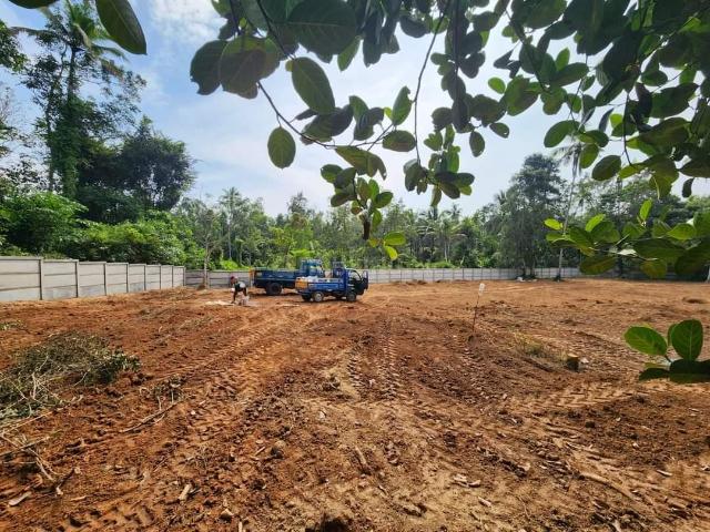 Residential Plot in North Paravoor for resale Kochi. The reference number is 20565032