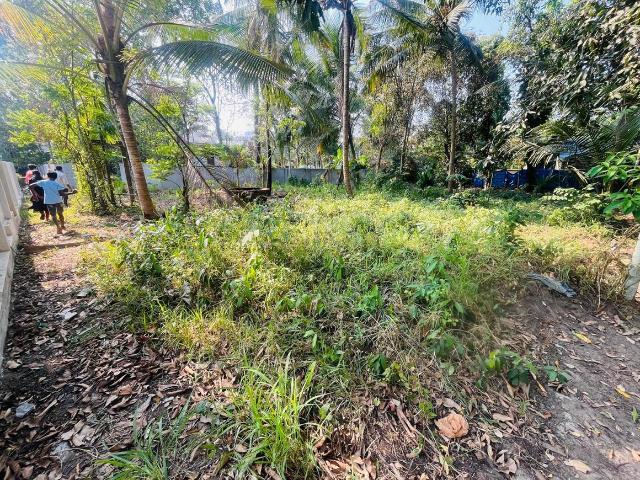 Residential Plot in North Paravoor for resale Kochi. The reference number is 20118608