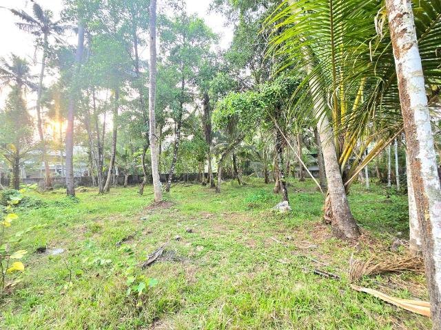 Residential Plot in North Parvur for resale Kochi. The reference number is 19581234