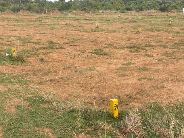 Residential Plot in Othivakkam R.F. for resale Chennai. The reference number is 19187285