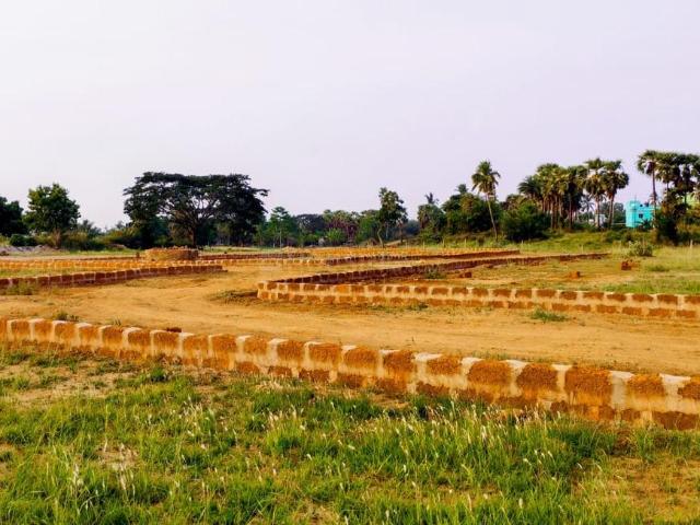 Residential Plot in Olatpur for resale Cuttack. The reference number is 20363448