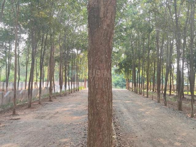 Residential Plot in Old Bobbili for resale Vizianagaram. The reference number is 20008651