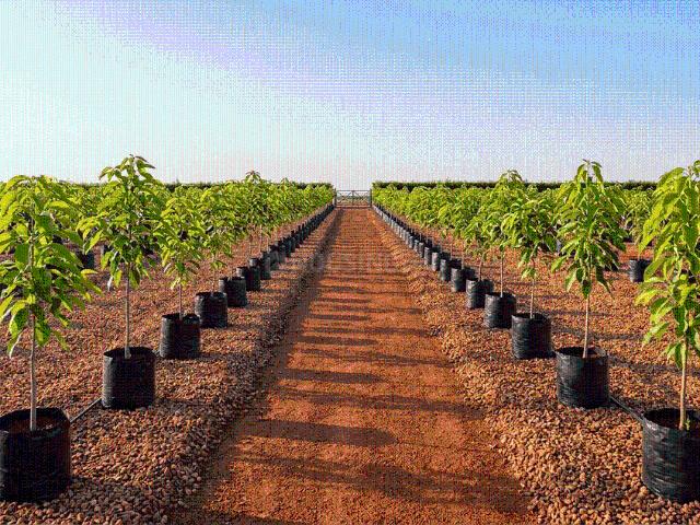 Residential Plot in Old Dhamtari Road for resale Raipur. The reference number is 21088956