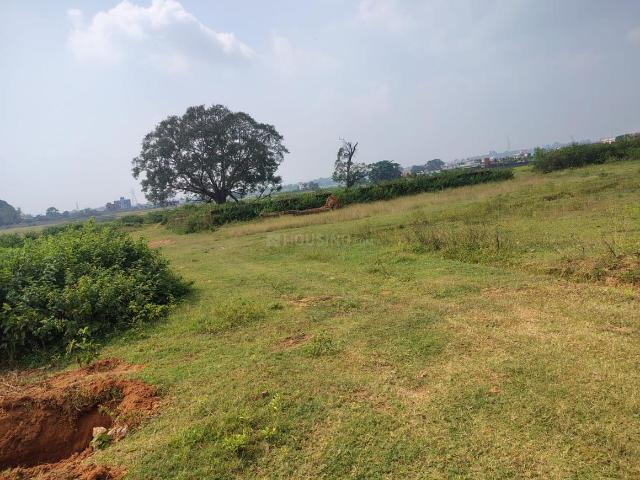Residential Plot in Ormanjhi for resale Ranchi. The reference number is 21284841