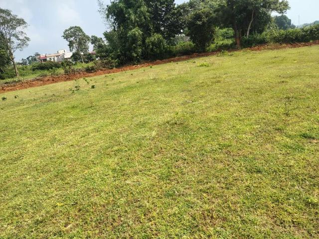 Residential Plot in Ormanjhi for resale Ranchi. The reference number is 21284936