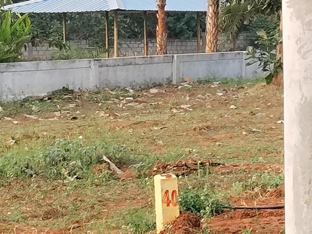 Residential Plot in Atchutapuram for resale Visakhapatnam. The reference number is 19732884
