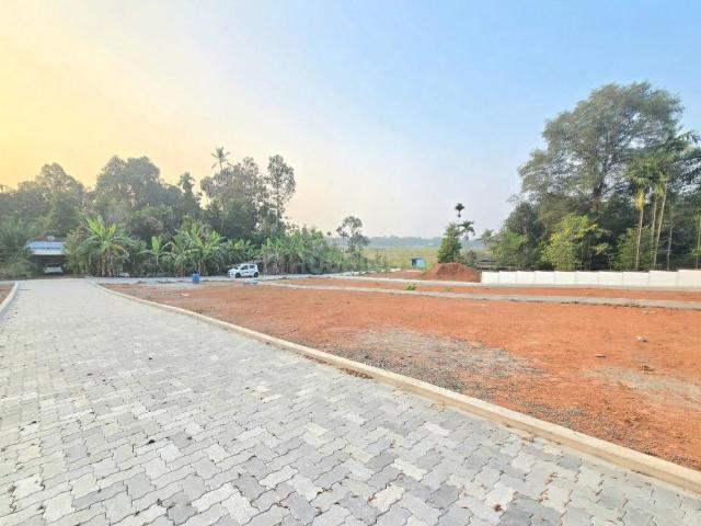 Residential Plot in Athani for resale Aluva. The reference number is 19550450