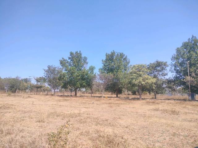 Residential Plot in Attibele Industrial Area for resale Bengaluru. The reference number is 19388222
