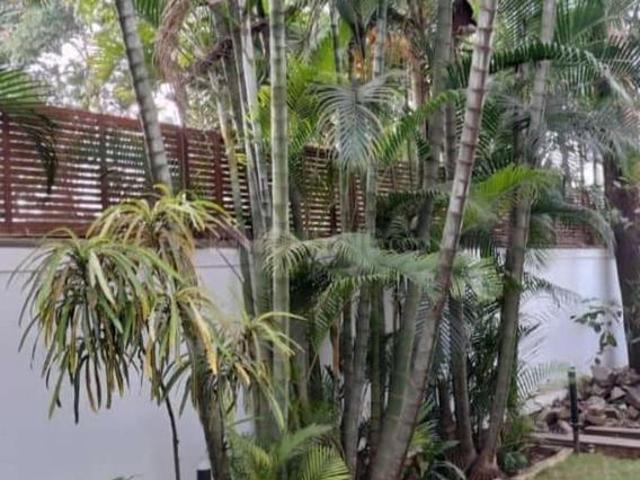 Residential Plot in Aundh for resale Pune. The reference number is 14611042