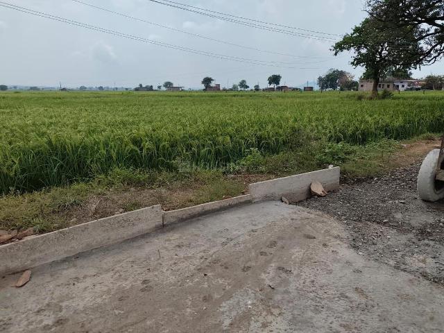 Residential Plot in Ayodhya Bypass for resale Bhopal. The reference number is 18874822