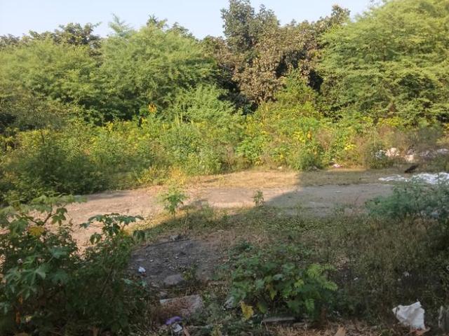 Residential Plot in Ayodhya Bypass for resale Bhopal. The reference number is 21325651