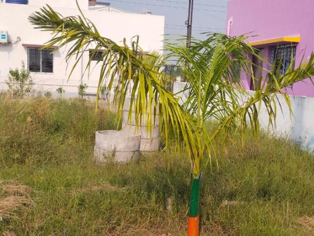 Residential Plot in A Zone for resale Durgapur. The reference number is 7706248
